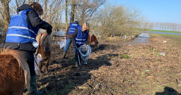 Opschoonactie langs Bergsche Maas: ,,Na vijf minuten was mijn afvalzak al vol” - BD.nl