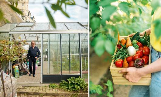 Je eigen groente verbouwen? André Rieu’s moestuintips