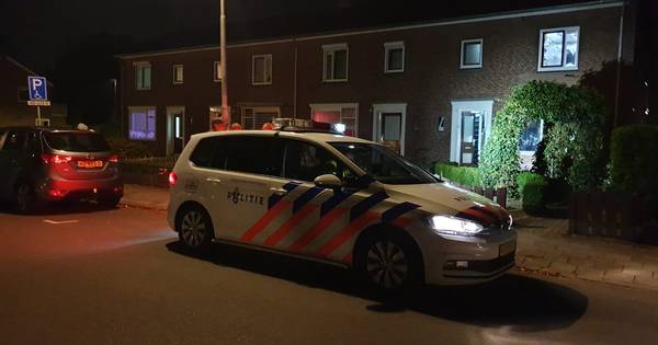 369 hennepplanten gevonden in Overdinkel: twee aanhoudingen verricht