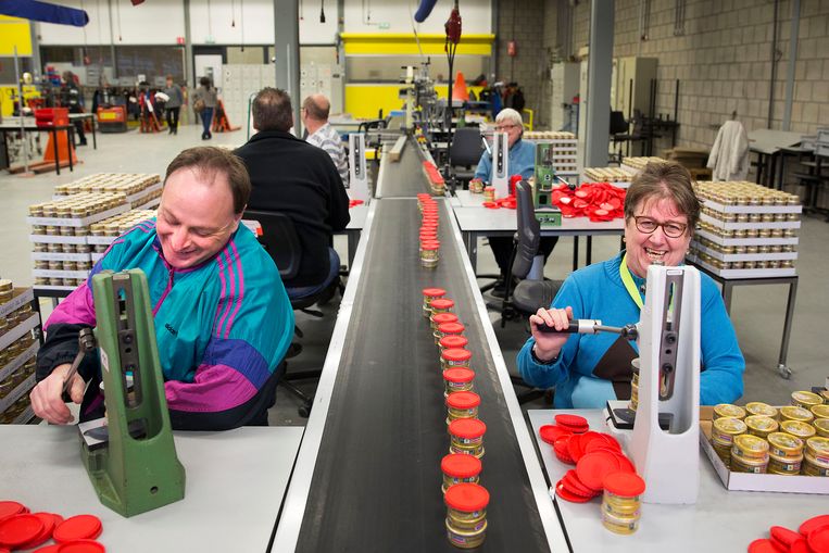 Afbeeldingsresultaat voor beschut werk