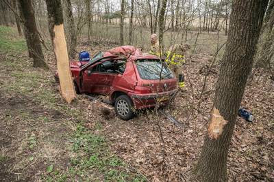Automobilist gewond bij flinke knal tegen boom bij Deelen