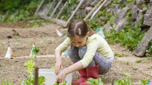 Je tuin onderhouden in tijden van waterschaarste? Zo pak je het aan