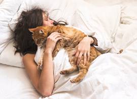 Briljant! Dé truc om katten- en hondenharen te verwijderen