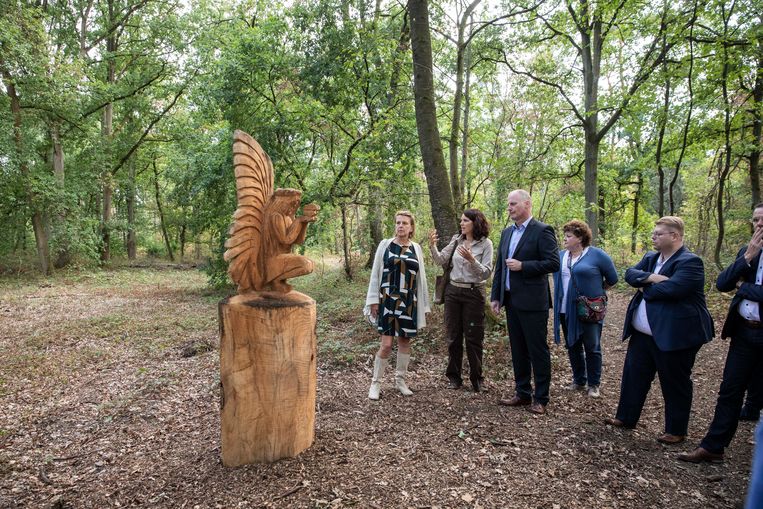 Slechts vier mensen ‘begraven’ op natuurbegraafplaats in Lanaken Lanaken In de buurt HLN