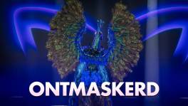 Ontmaskerd: Pauw, wie ben jij echt?