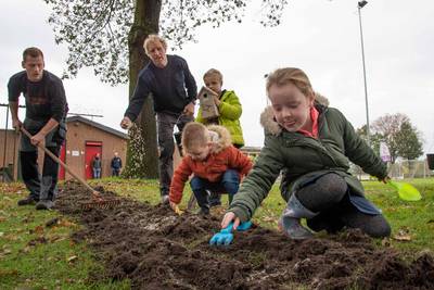 Blubberrun Haghorst pakt overlast processierups op natuurlijke wijze aan: met plantjes