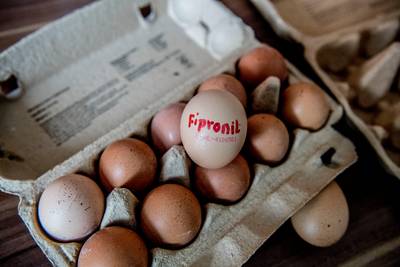 Tientallen kippenboeren nog in problemen door eiercrisis