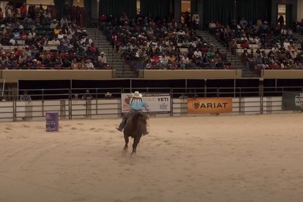 Danny and the Americans