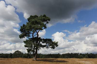 Utrechts Landschap heeft er 2000 ‘beschermers’ bij