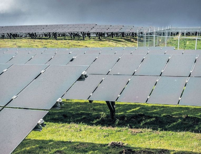 'Nederland te vol voor grote zonneparken' | TROUW - Trouw