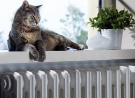 Met dit kledingstuk maak je héél makkelijk de radiator stofvrij