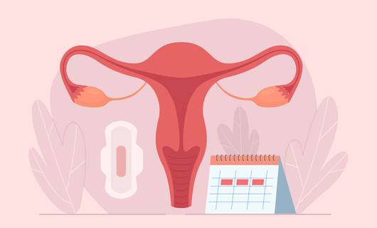 Expert legt uit: kun je tijdens de overgang nog menstrueren? 