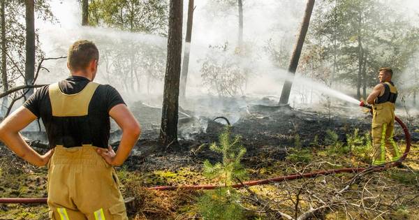 Brandweer: 'Met toeval hebben de branden in de Peel weinig te maken'