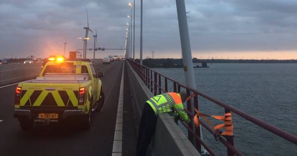 Verkeerschaos rond Haringvlietbrug: Lantaarnpaal wankelt, omleiding via parallelweg te smal