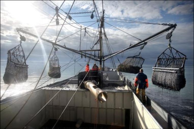 Mosselvrede In Yerseke Buitenland Nieuws Hln