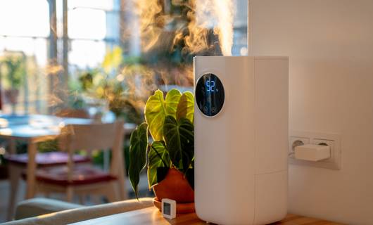 Luchtontvochtiger of luchtbevochtiger in huis: wat is beter in de winter?