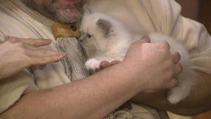 47. De Poes