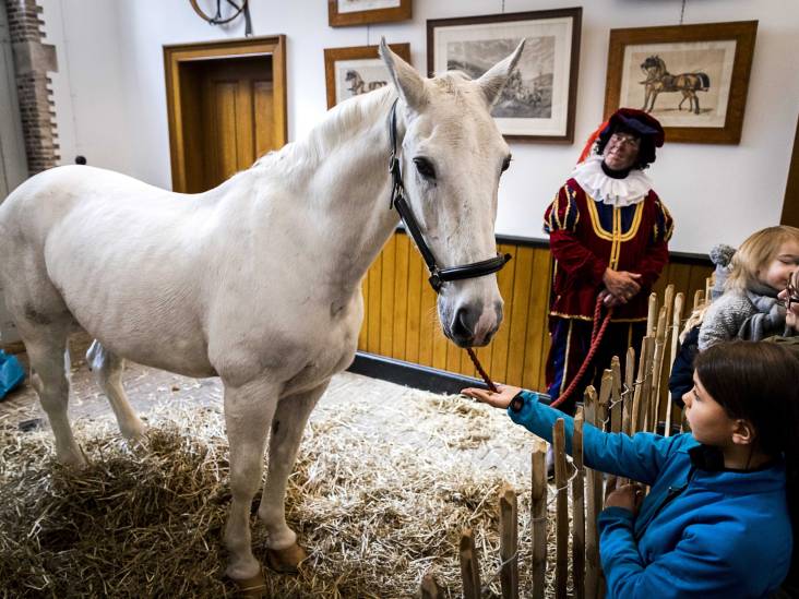 Het Paard Van Sinterklaas Columns Remco Kock Gelderlander Nl