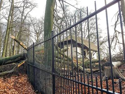 Storm zorgt voor ravage, bosgebieden verboden terrein