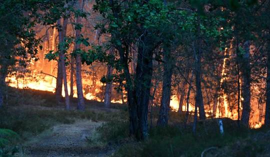 Grote bosbrand bij Fontainebleau mogelijk aangestoken, blussen zal enkele dagen of weken duren
