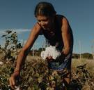 De schoonste sneakers ter wereld komen uit Brazilië