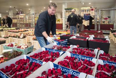 Plantion verkoopt rond Valentijnsdag bijna dubbel zoveel rozen