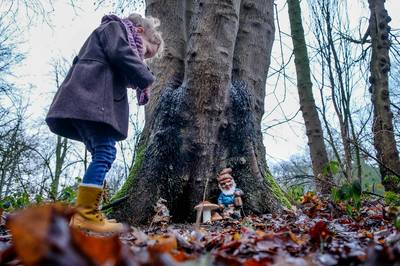 Bevolkingsexplosie van kabouters in Horssens bos: heb jij ze al gespot?