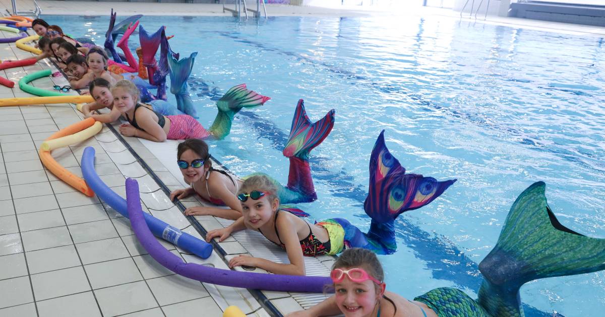 Kleine Zeemeerminnetjes Zwemmen Als Dolfijnen Zeeuws Vlaanderen Pzc Nl