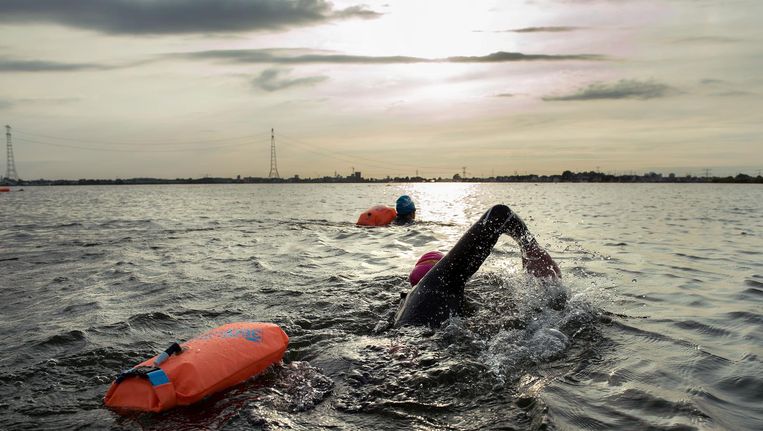 Ook Rond Amsterdam Kun Je Prima Openwaterzwemmen Het Parool