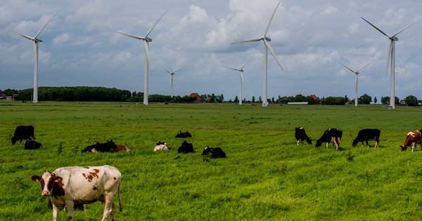 Provincie duwt gemeente en burgers windmolens 'door de strot' - De Stentor