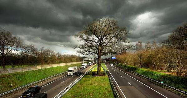 Minister neemt cheque voor troeteleik persoonlijk in ontvangst