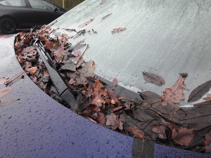 Wat Is Er Aan De Hand Met Deze Beschimmelde Auto Langs De A1