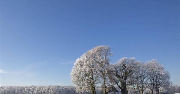 Mooie plaatjes bij Kroezeboom in Fleringen | Tubbergen - Tubantia