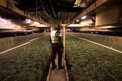 Wietplantage met straatwaarde van 2 ton opgerold in hartje Vorden