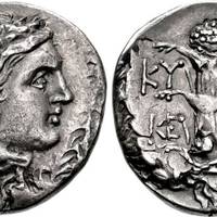 Razend populair in het Romeinse Rijk en toch verdwenen: hoe ‘wondermiddel’ silphium van de aardbol werd gewist