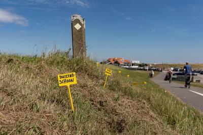 Oosje, het nieuwe zusje van Loesje, neemt maaibeleid langs Oosterscheldedijk op de hak