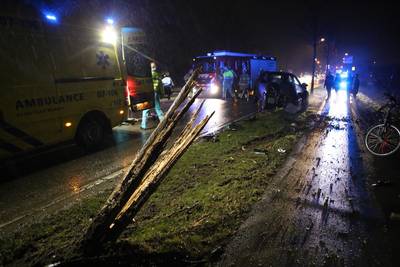 Man raakt van de weg en ramt daarbij een boom en een lantaarnpaal