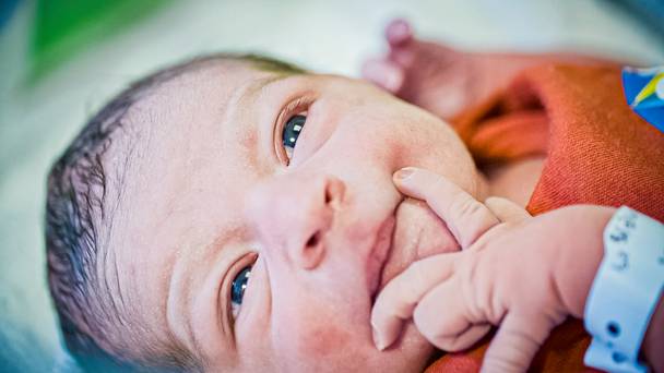 Life and Birth