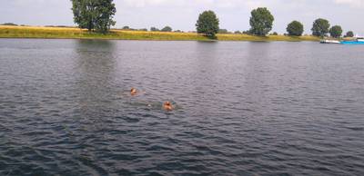 Groepje jongens probeert van Lith naar Gelderland te zwemmen: 'Levensgevaarlijk'