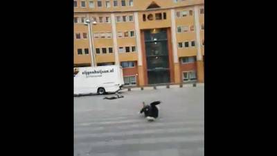 Brit liegt miljoenen kijkers voor  rondom Bossche windfilmpje