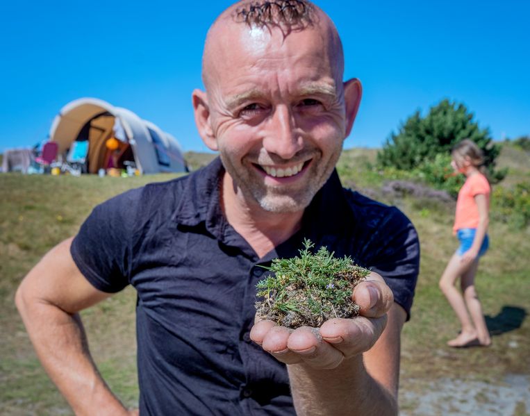Botanische juweeltjes, die vind je gewoon op de camping - Trouw