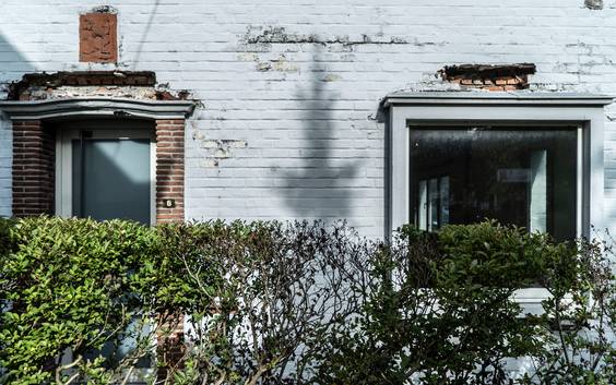 Hoe schimmel de PVDA aan verkiezingswinst in Gent kan helpen