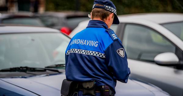 Baasje bedreigt handhavers na confrontatie over honden in hete auto - De Stentor