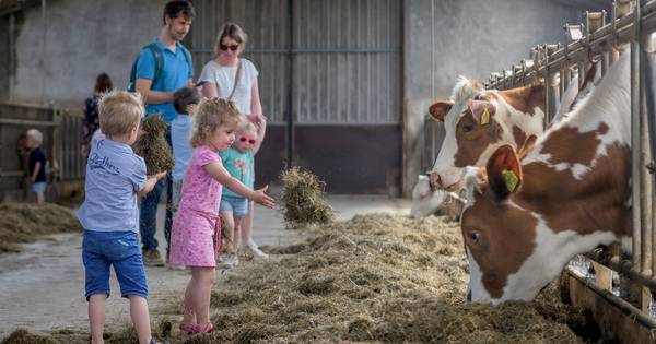 Grote belangstelling voor ‘Koekeloer bij de boer’ in Hertme