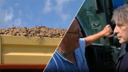 Man krijgt boete door vallende aardappelen van tractor