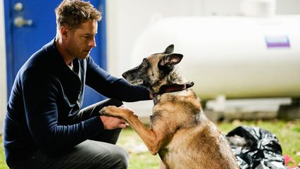 7. Man's Best Friend