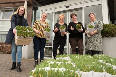Honderden ouderen blij gemaakt met tulpen die anders de container in gingen