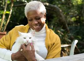 Dierenartsen waarschuwen voor heersende dodelijke kattenziekte