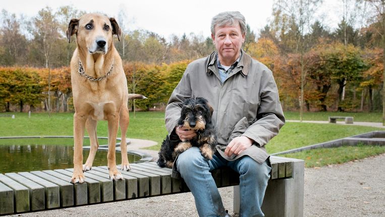 Graag Een Hond Maar Geen Tijd Dan Zoek Je Een Oppas Online De Volkskrant