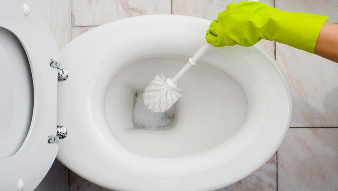 Poets Jij Je Wc Grondig Genoeg Dit Zijn De Tips Van Experts Familie Hln Be
